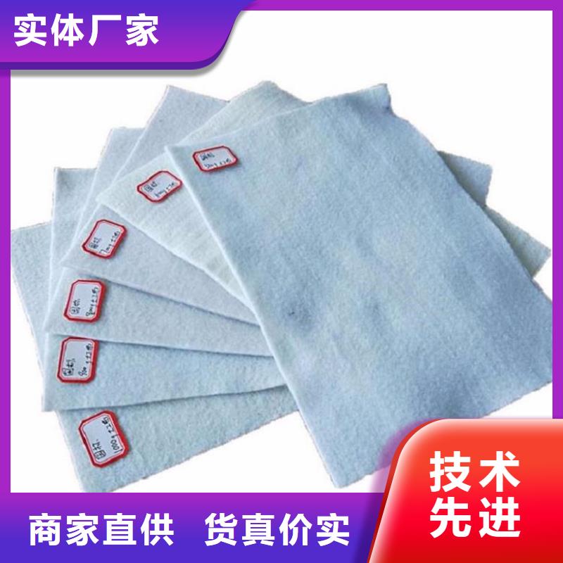 土工布土工格栅源头工厂量大优惠
