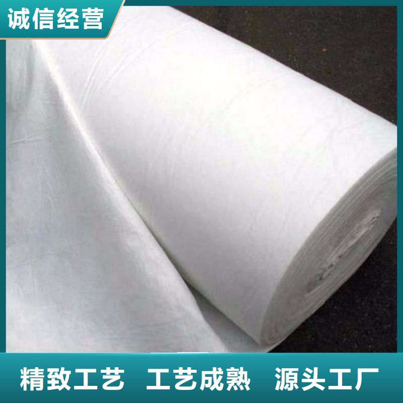 土工布土工格栅源头工厂量大优惠