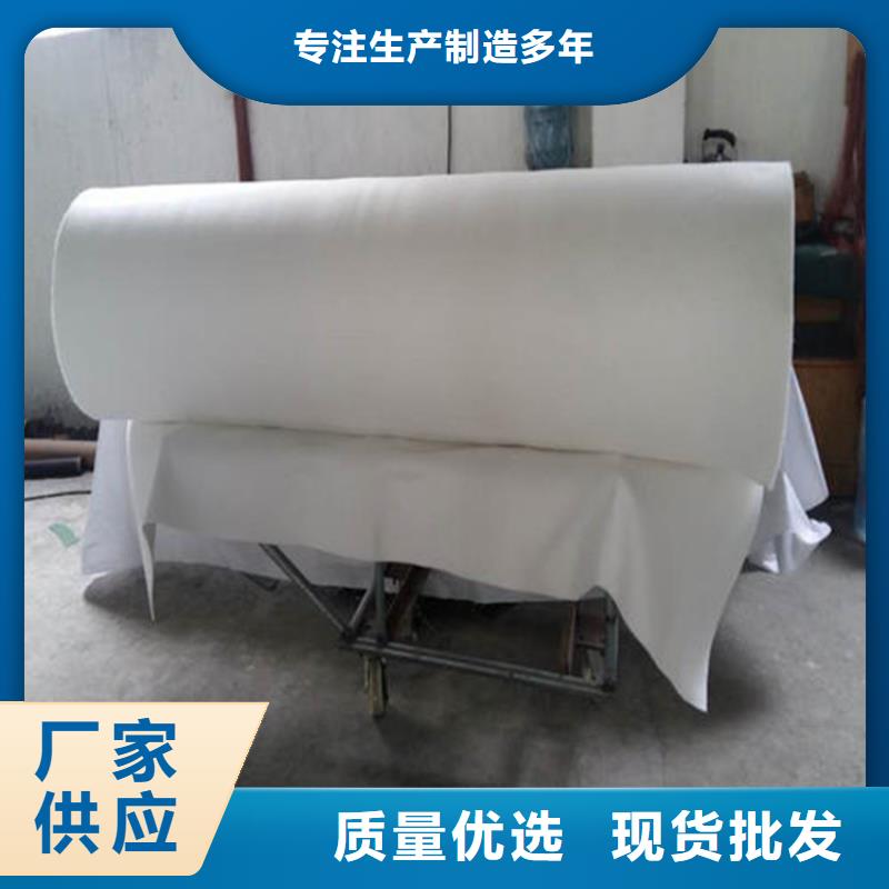 土工布复合土工膜现货齐全售后无忧