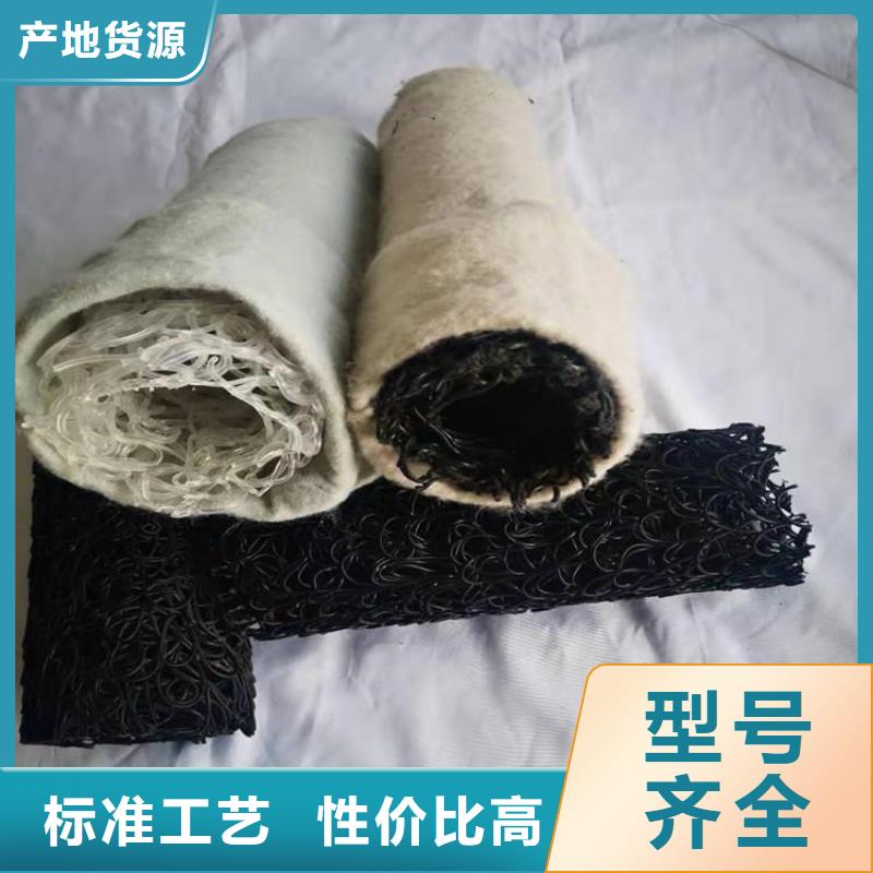 塑料盲沟土工网垫匠心工艺
