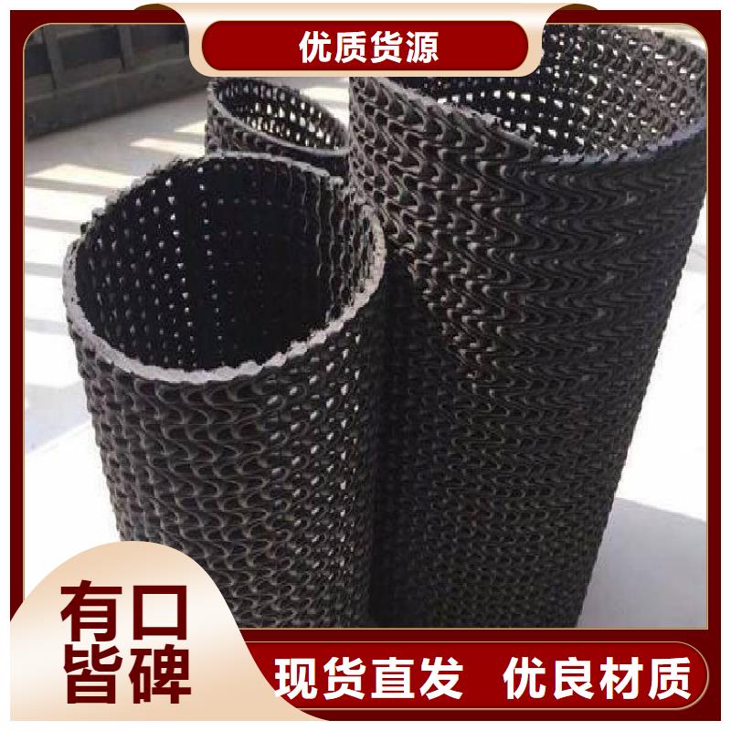 HDPE硬式透水管网状直径110