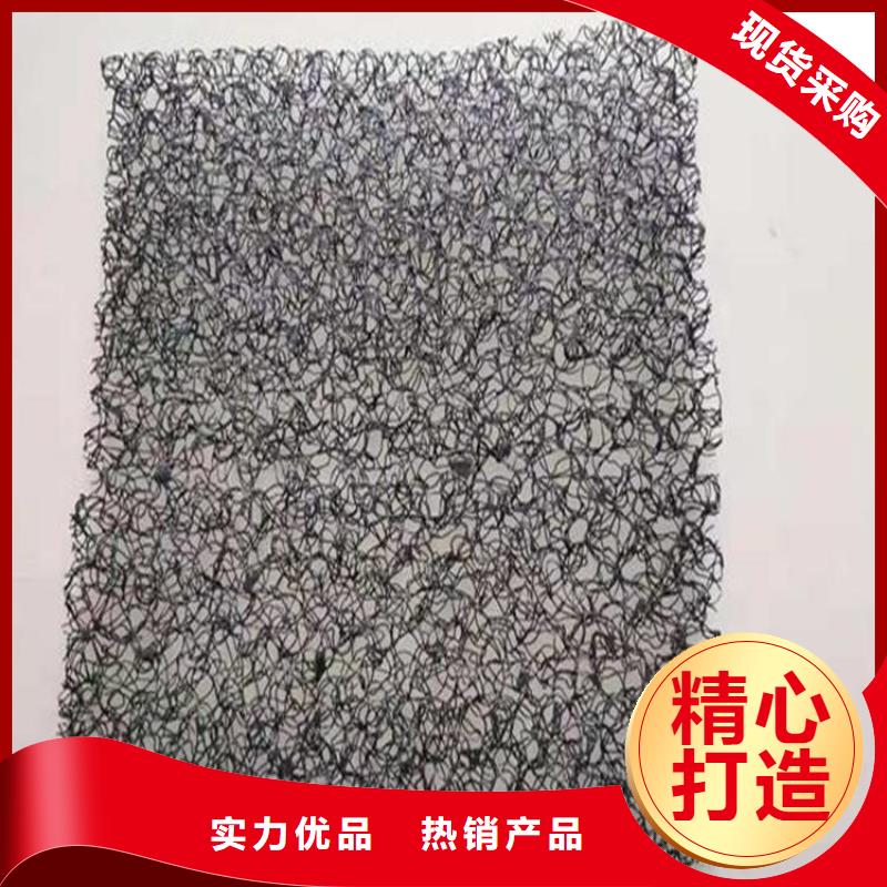 水土保护毯,【土工格栅】送货上门由中齐为您