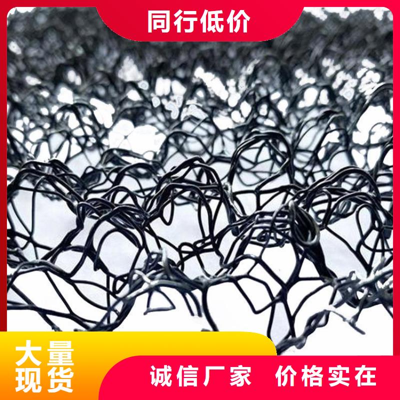 水土保护毯,【土工格栅】送货上门由中齐为您
