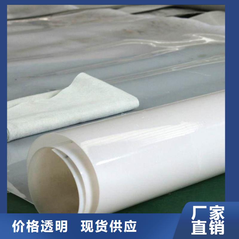 防水板复合土工膜专注生产制造多年