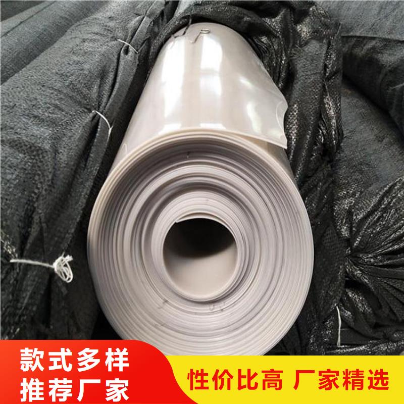 【防水板_双向塑料土工格栅货源直销】