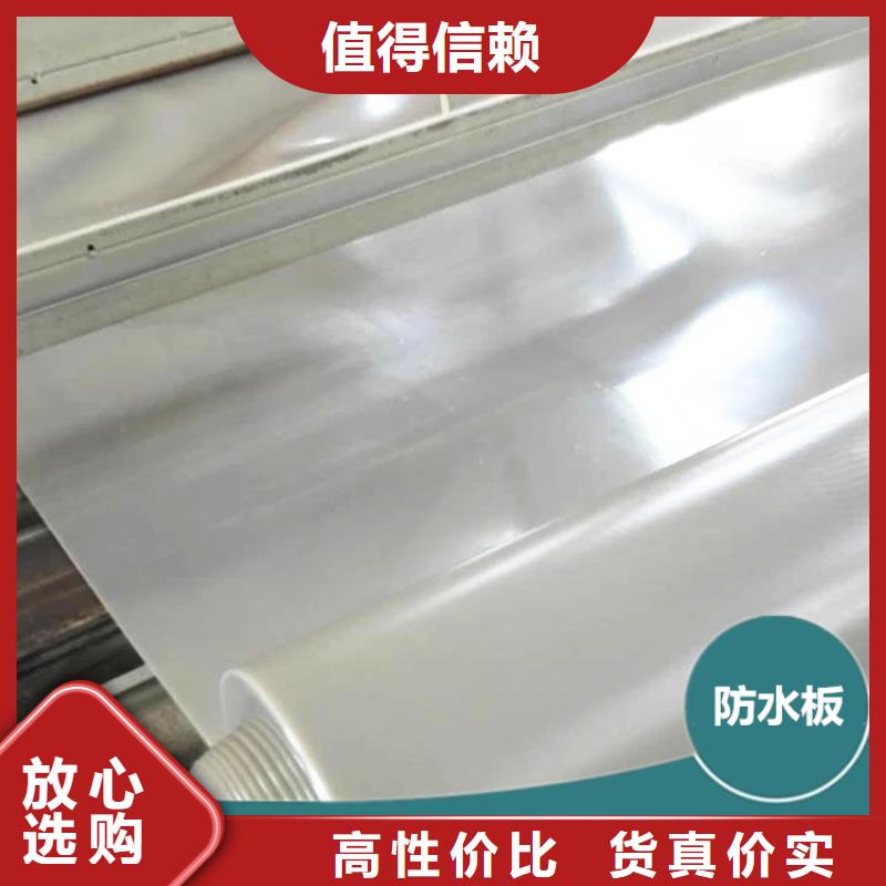防水板HDPE土工膜工厂采购