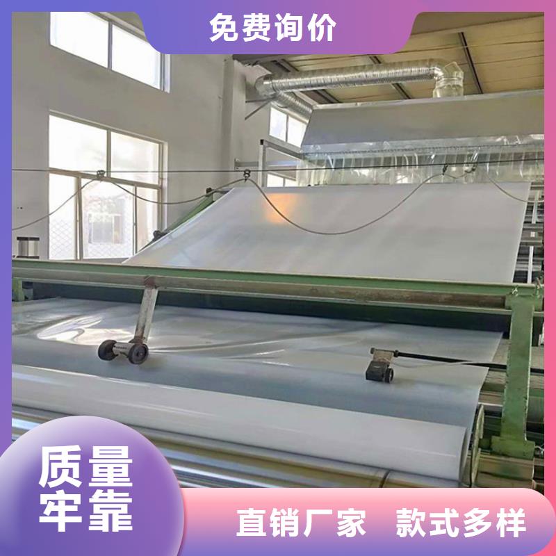 防水板复合土工膜专注生产制造多年