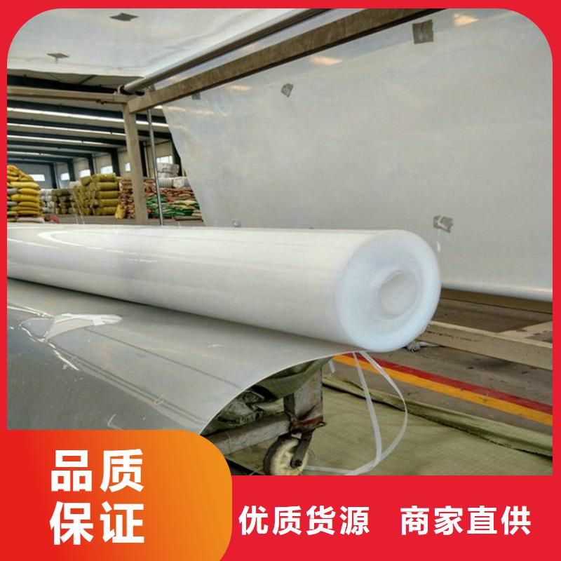 防水板復合土工膜專注生產制造多年