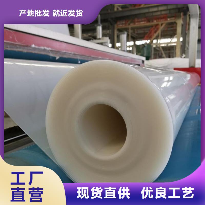 防水板复合土工膜专注生产制造多年