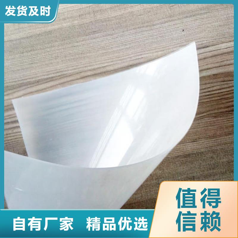 防水板HDPE土工膜工厂采购