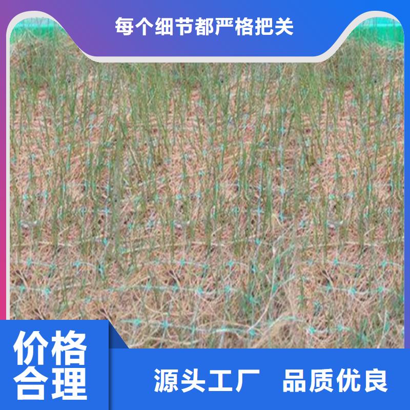 加筋复合环保草毯