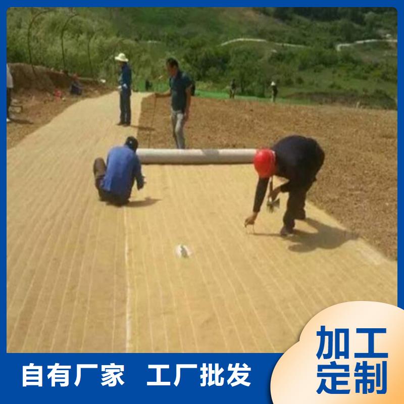 護(hù)坡椰絲植草毯植被毯