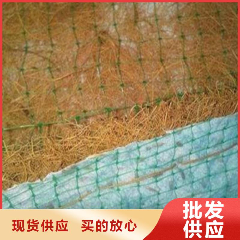 水?？箾_生物毯椰絲綠化毯
