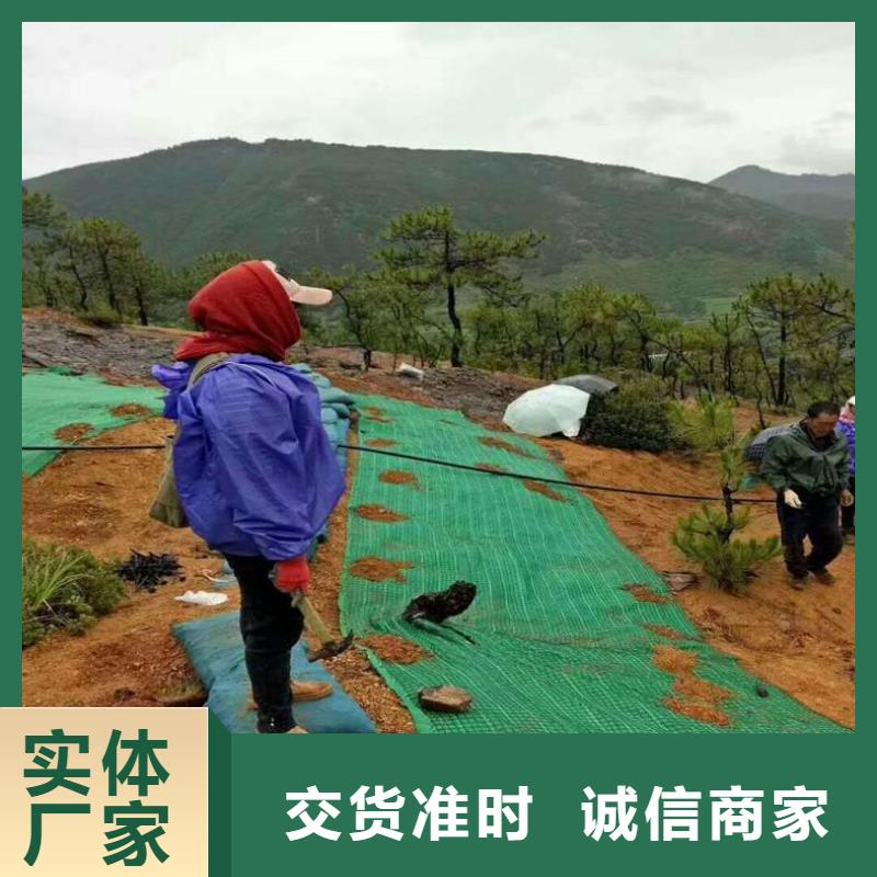 椰丝毯三维植被网精选厂家好货