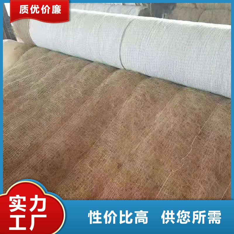 【 椰丝毯,拉筋带品牌企业】-服务区域包括佳木斯|黑河|齐齐哈尔|大庆|绥化等-产品视频
