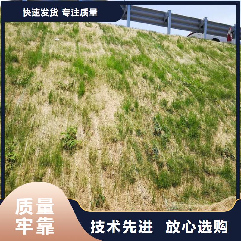 椰絲毯膨潤土防水毯高品質現貨銷售
