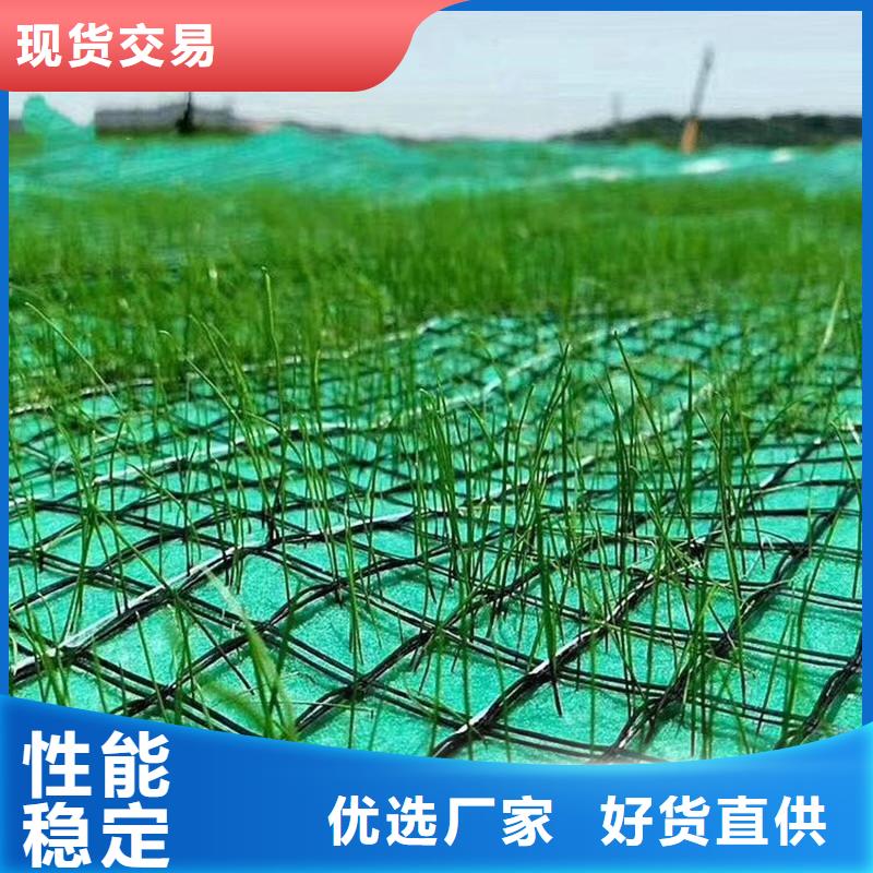 植草椰丝毯