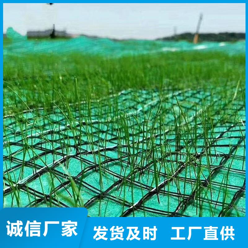 椰丝毯,土工格栅符合标准