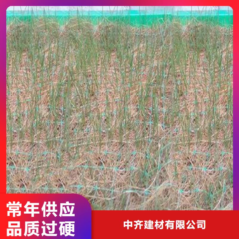 生态植物防护毯抗老化植草毯