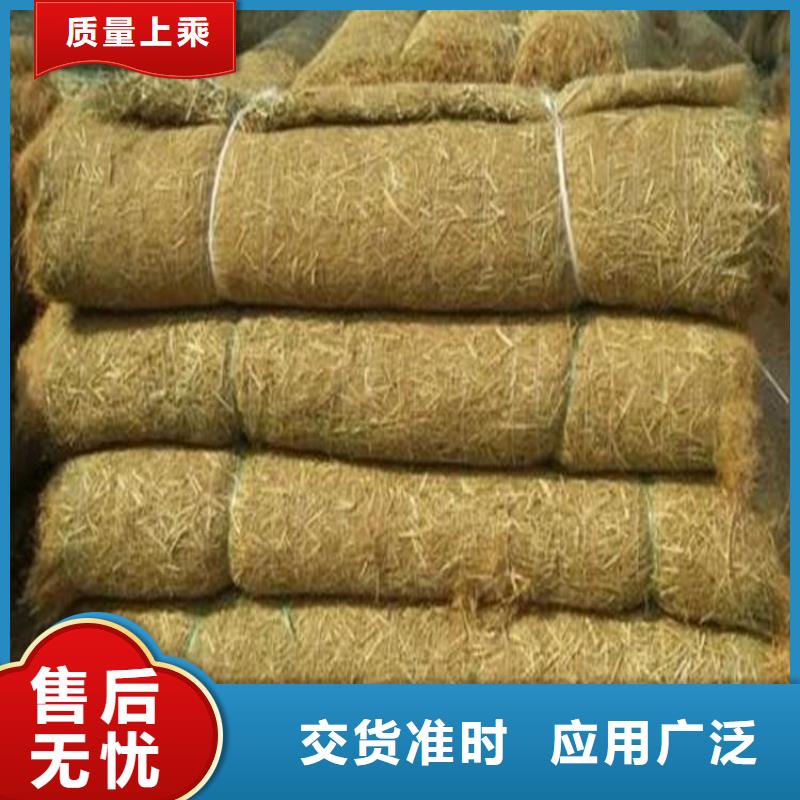 实体厂家【椰丝毯】-土工膜品质信得过