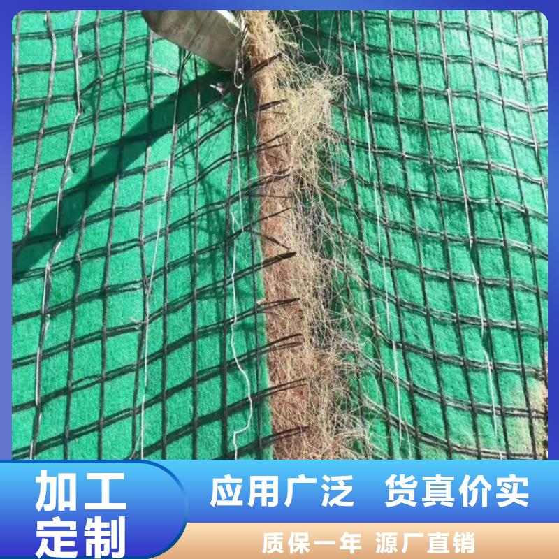 椰丝毯【单向塑料土工格栅】厂家现货批发