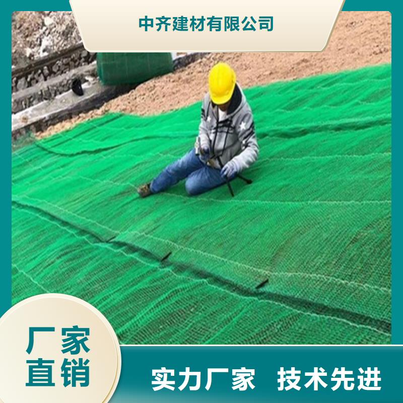 椰丝毯三维植被网精选厂家好货