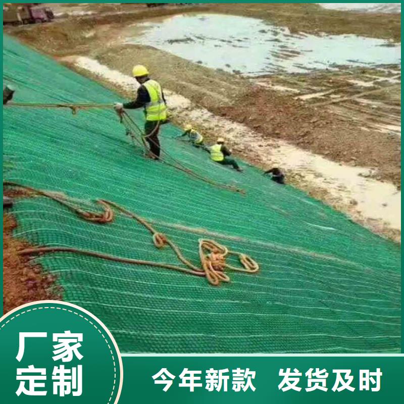 中齐防渗膜椰丝毯 【土工膜】现货供应qy55.com