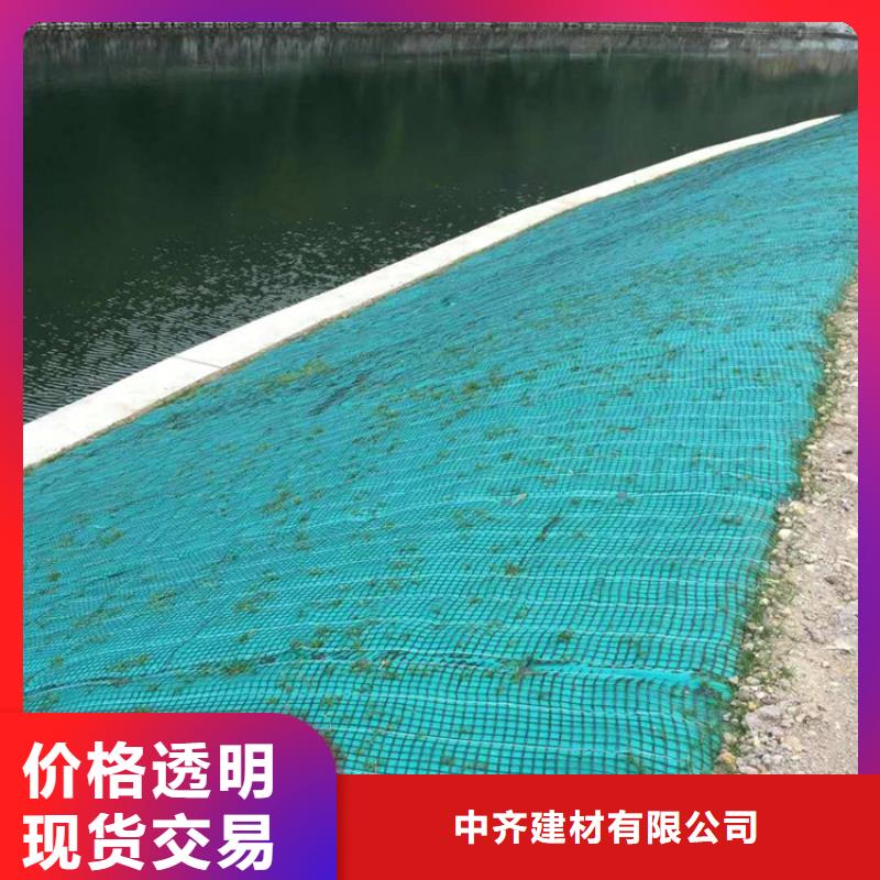 中齐防渗膜【椰丝毯】-土工膜品质信得过