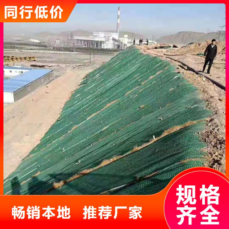 植物纤维毯植生毯土工格栅