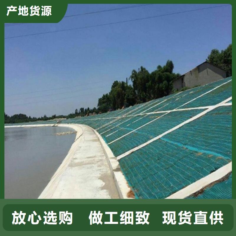 防渗膜中齐椰丝毯 【土工膜】现货供应