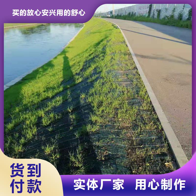 防渗膜中齐椰丝毯 【土工膜】现货供应