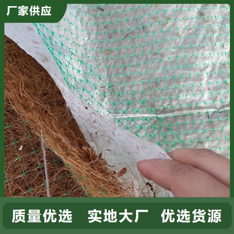 椰丝植生毯生态护坡草毯