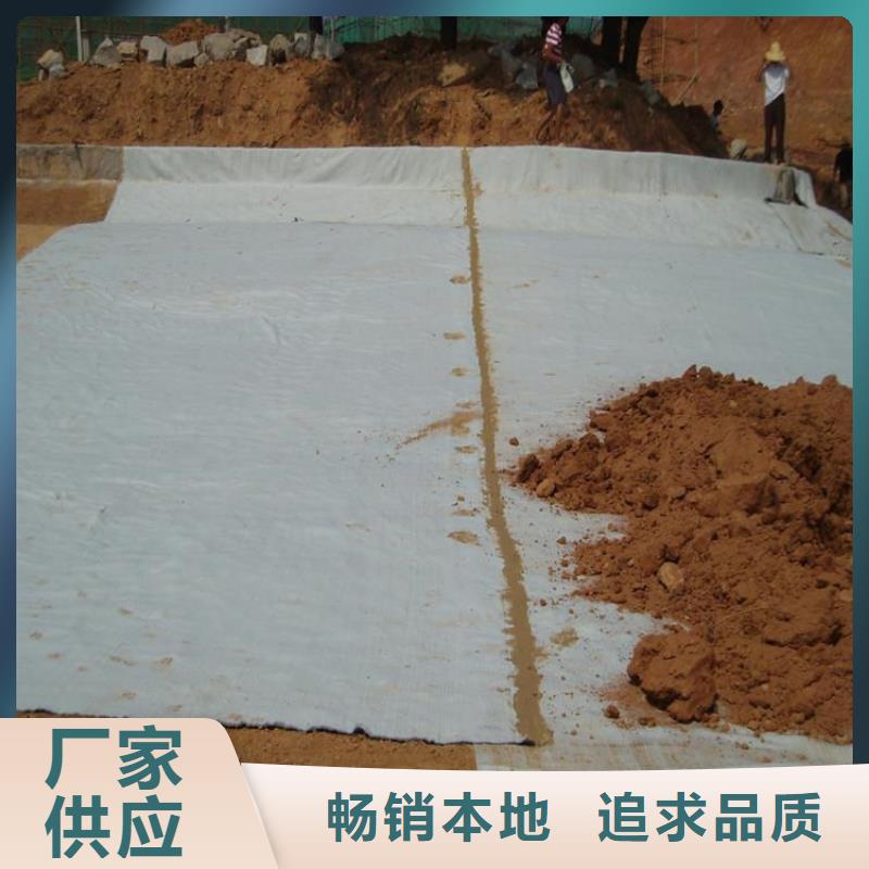 膨潤土防水毯通風降噪絲網品質保證實力見證