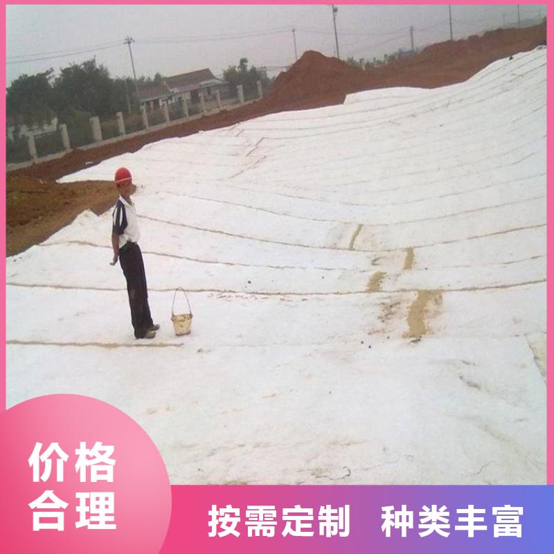 【膨润土防水毯】-HDPE土工膜品质保障价格合理中齐防渗膜