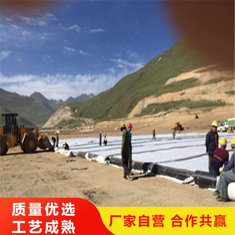 3000g鈉基膨潤土防水墊