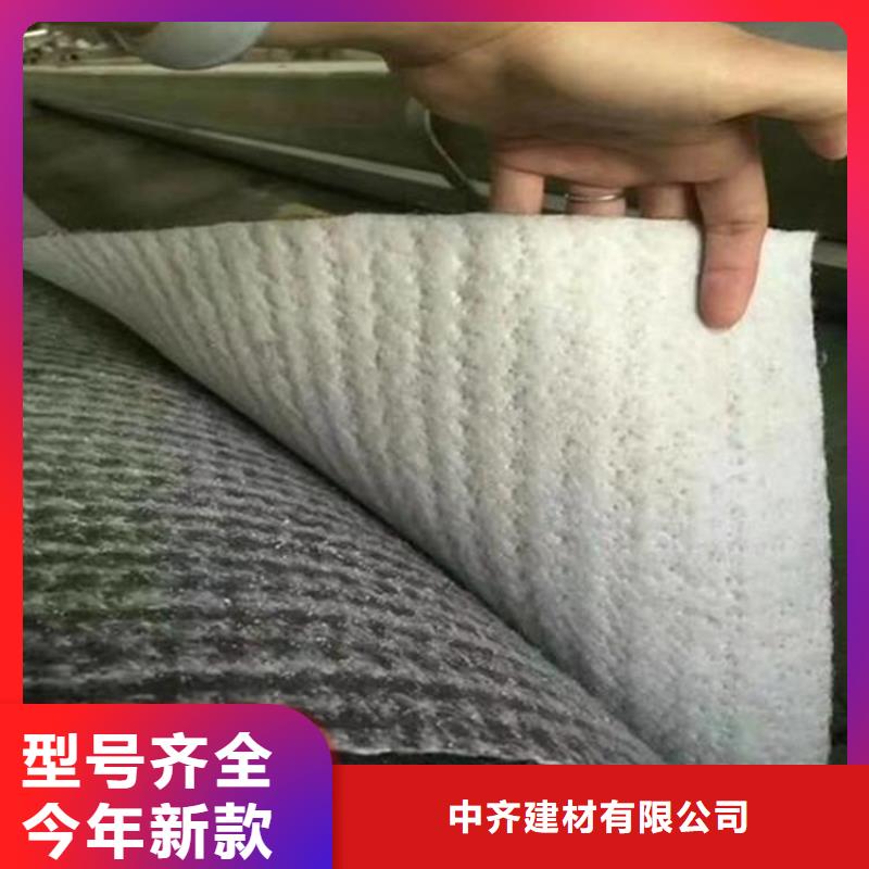 4000g覆膜膨润土防水毯