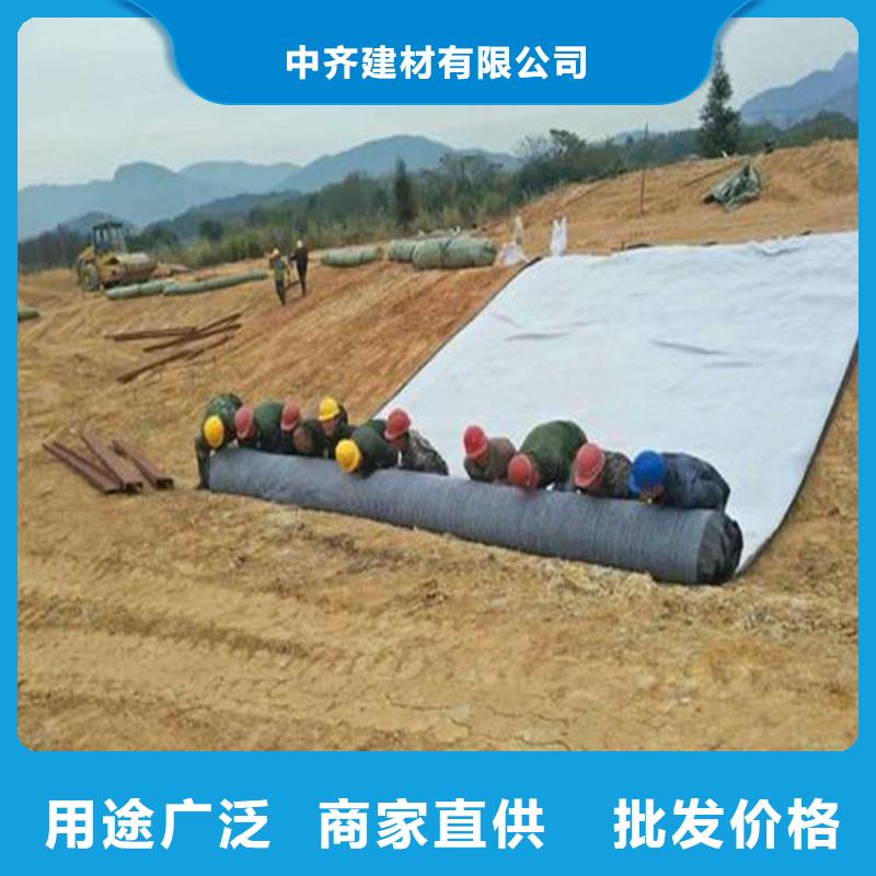 膨潤土防水毯_土工網(wǎng)墊細(xì)節(jié)嚴(yán)格凸顯品質(zhì)