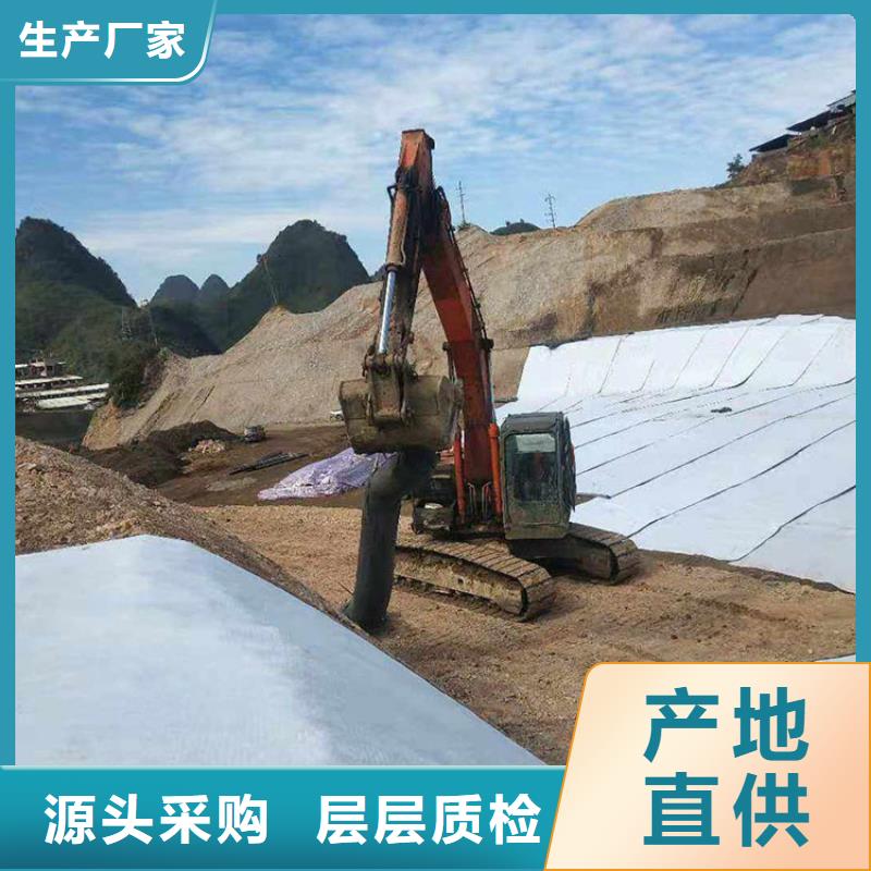 中齐防渗膜【膨润土防水毯】-HDPE土工膜品质保障价格合理qy55.com