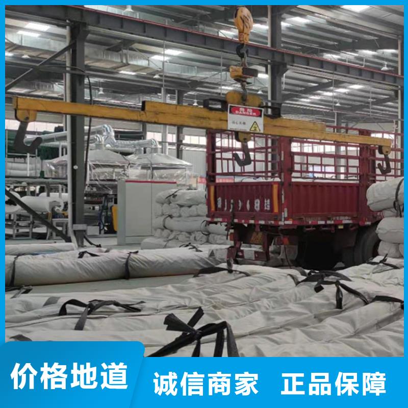 膨润土防水毯80KN玻纤格栅优质工艺