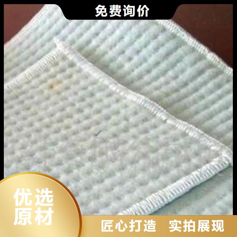 【膨润土防水毯】-HDPE土工膜品质保障价格合理同城经销商