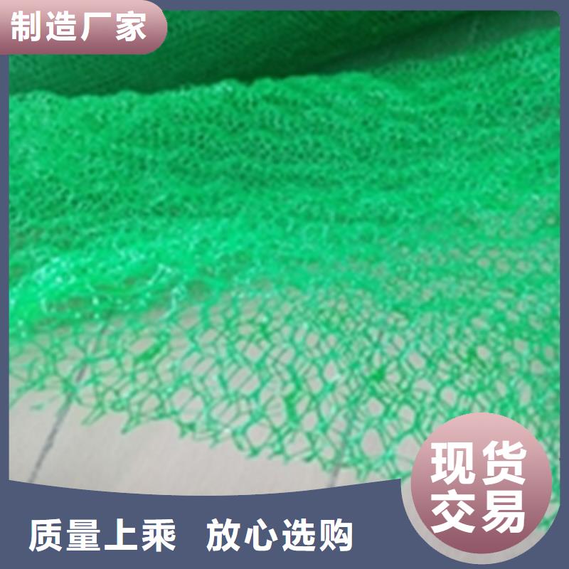 三維植被網土工網墊廠家直銷售后完善
