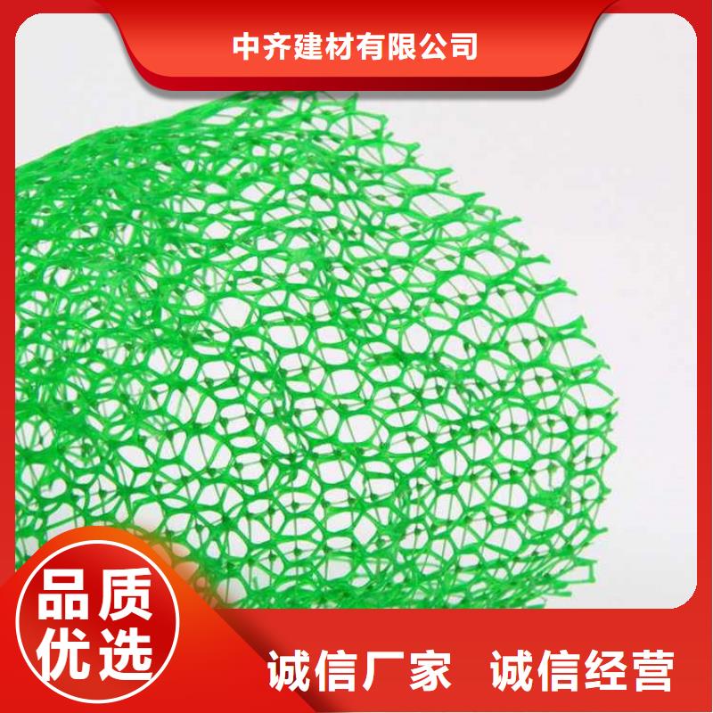 三維植被網土工網墊廠家直銷售后完善
