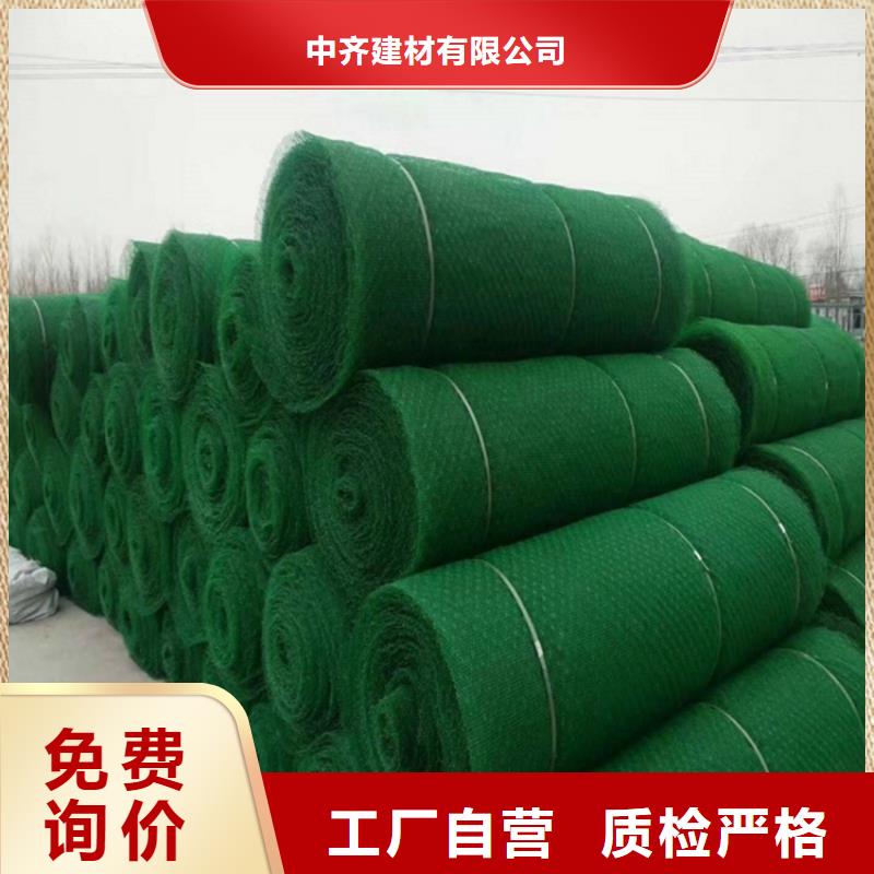 三維植被網(wǎng)-防裂貼材質(zhì)實(shí)在