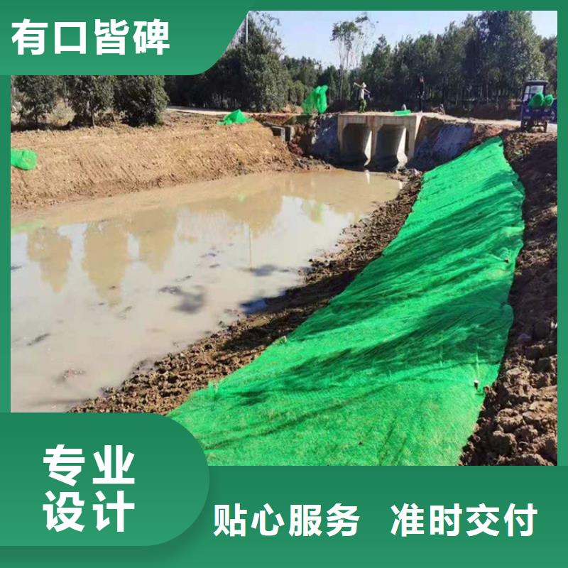 三维植被网塑料盲沟支持定制批发