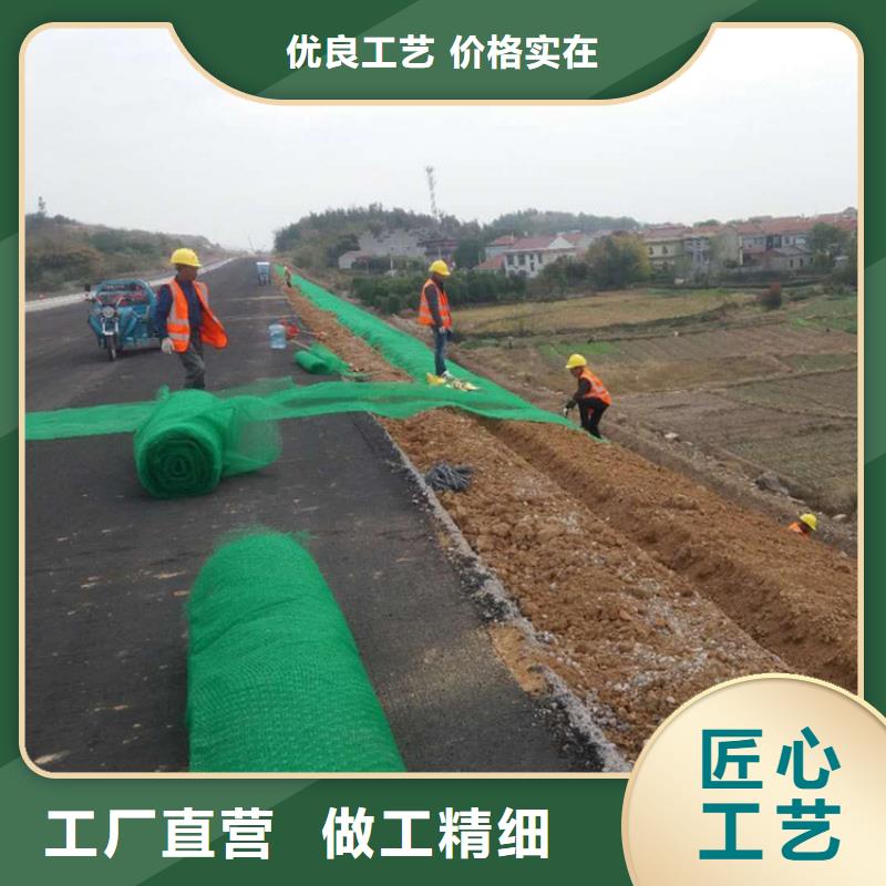 三维植被网防水板现货批发