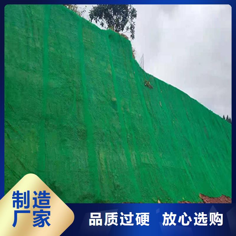三維植被網土工網墊廠家直銷售后完善
