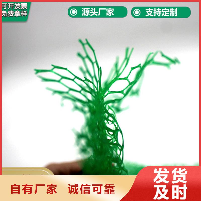 三维植被网-防裂贴材质实在