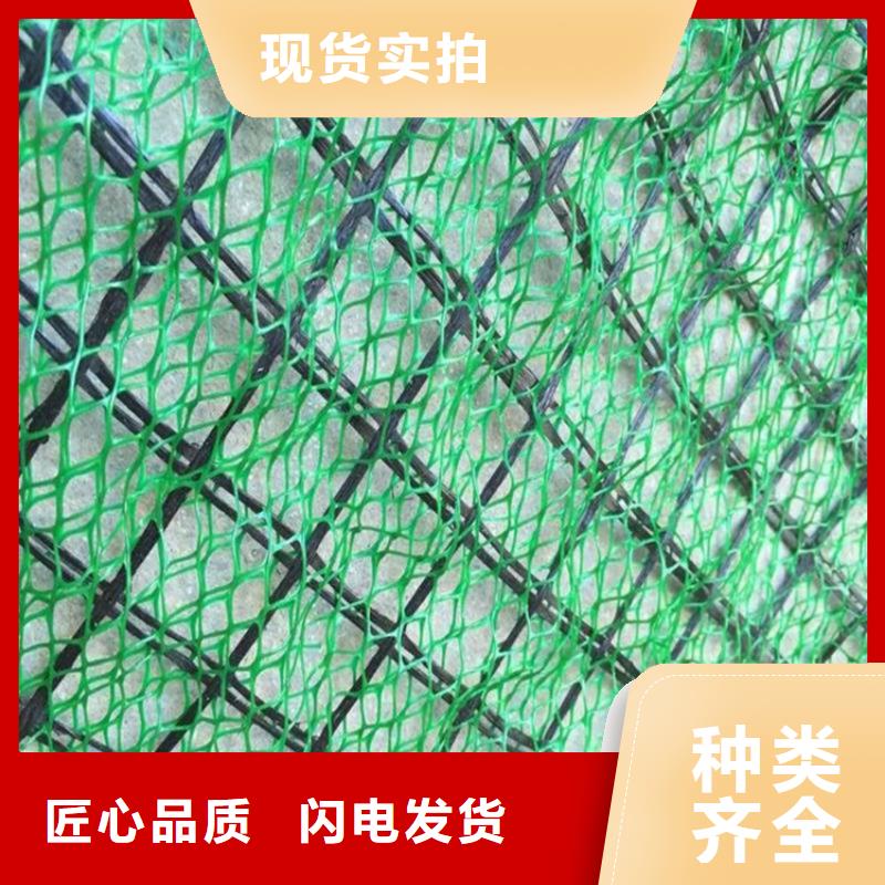 三維植被網(wǎng)-防裂貼材質(zhì)實(shí)在