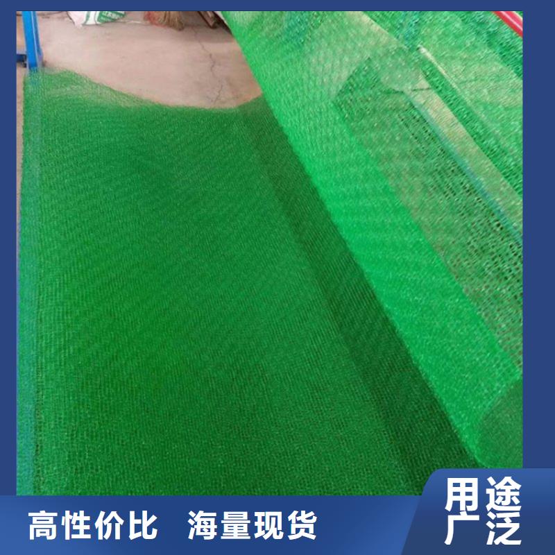 【 三维植被网_防渗膜源头采购】当地经销商