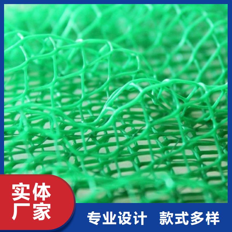 边坡护坡三维土工网垫